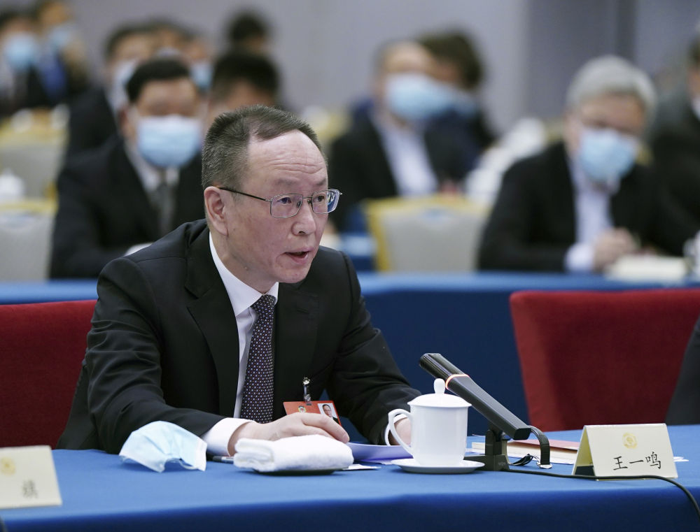 5月23日，全國政協委員王一鳴在經濟界聯組會上發言。新華社記者　謝環馳　攝